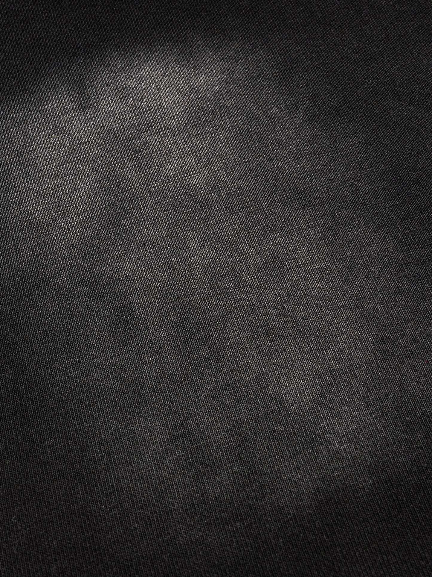 Sunfade French Terry Raw Edge T-Shirt