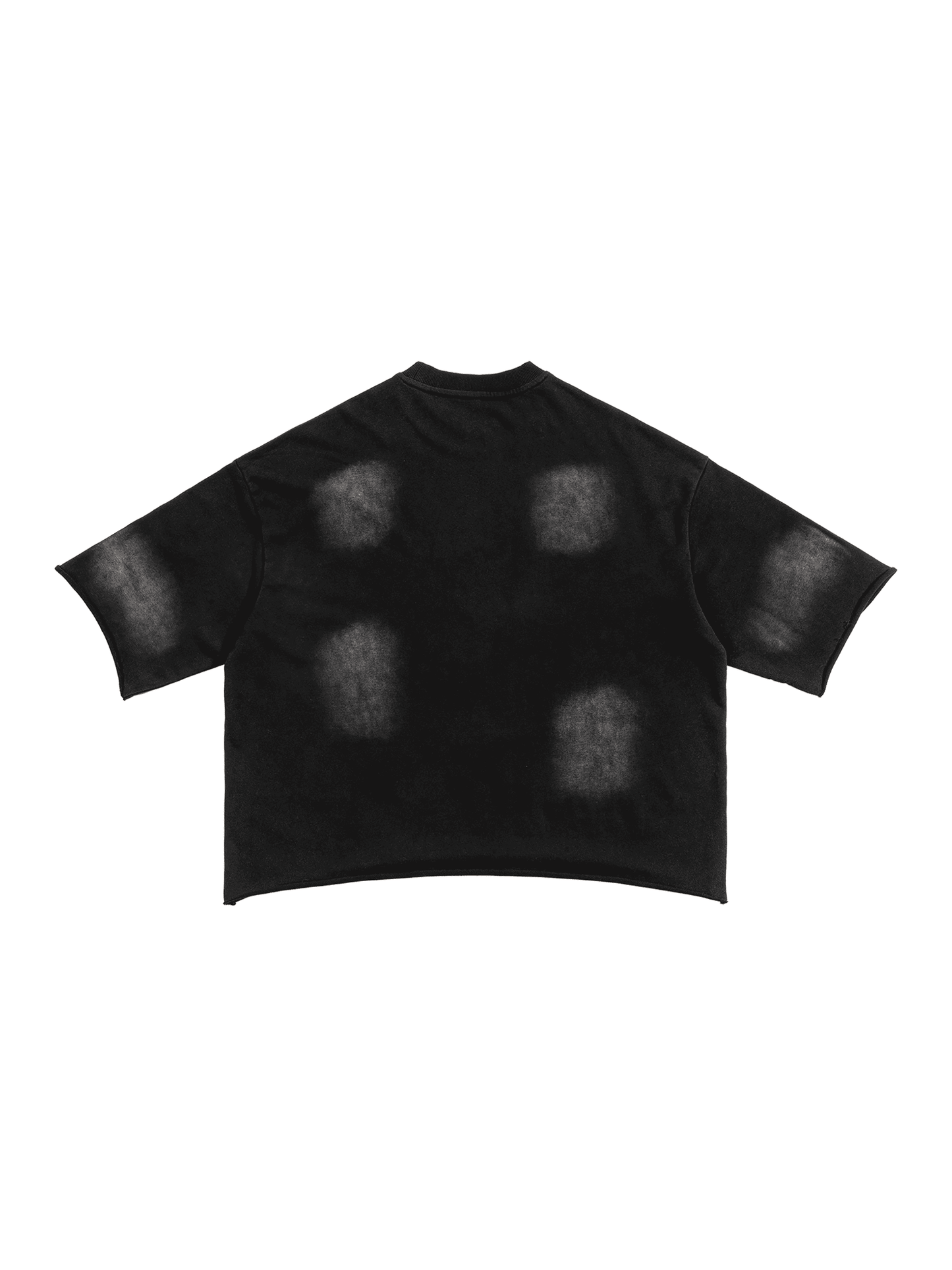 Sunfade French Terry Raw Edge T-Shirt